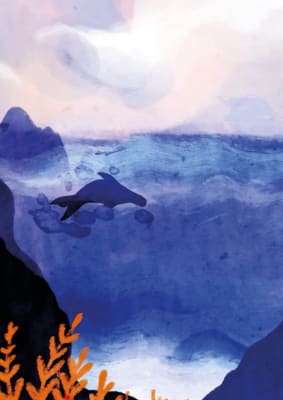 Selkies Echo