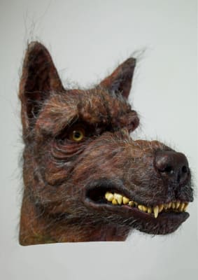 Dog head
