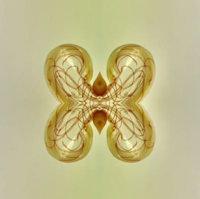 morphs