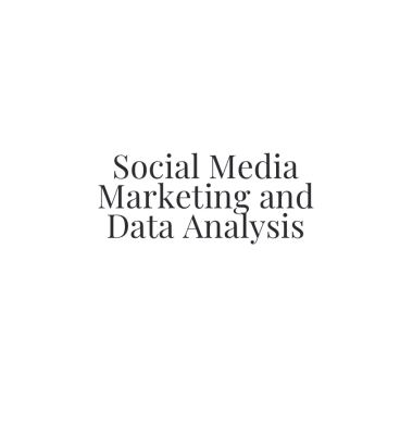 Social Media Marketing and Data Analysis - Reformation Brand Introduction