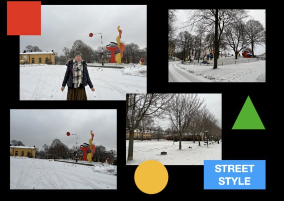 Fashion Styling