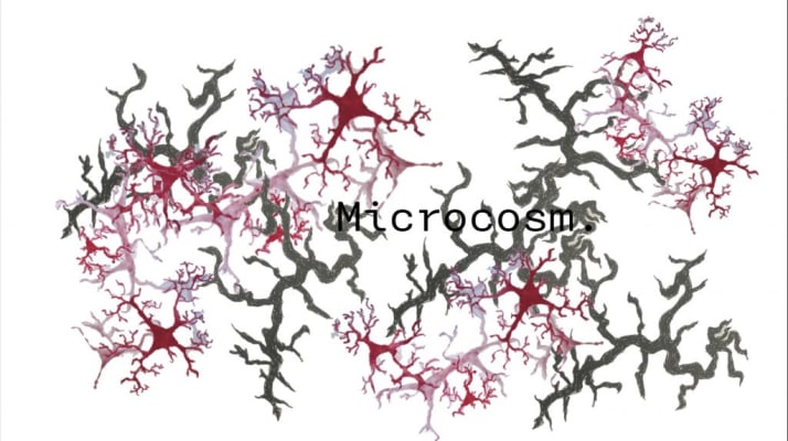 Experimental Process : Microcosm