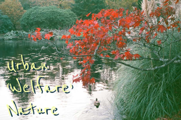 Urban ‘Welfare’-Nature
