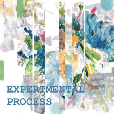 Experimental Process