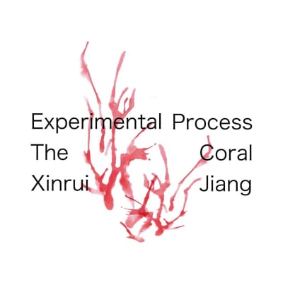 Experimental Process - The coral