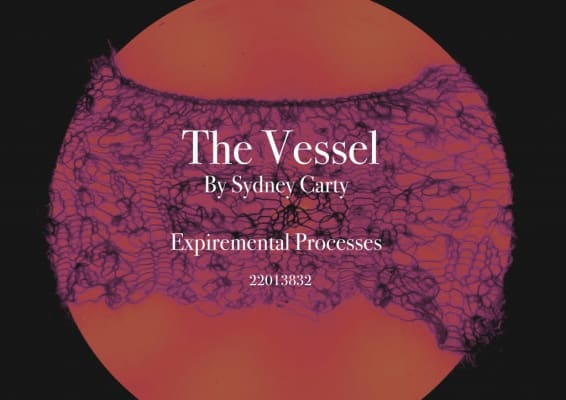 Experimental Processes