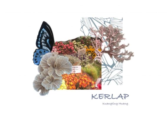 Kerlap