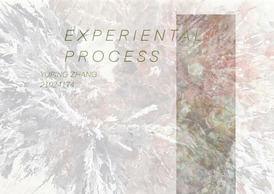 Experiental Process print
