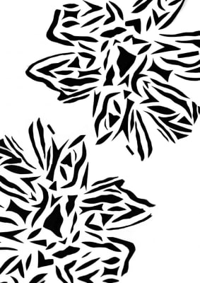 Experimental Process