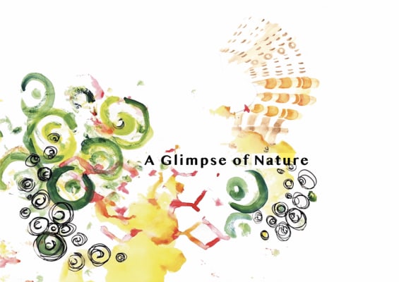 A Glimpse of Nature