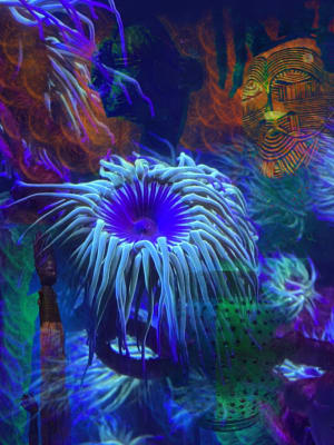 Deep Sea Dwellers