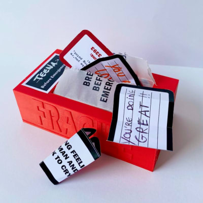 The Before Emergency Box