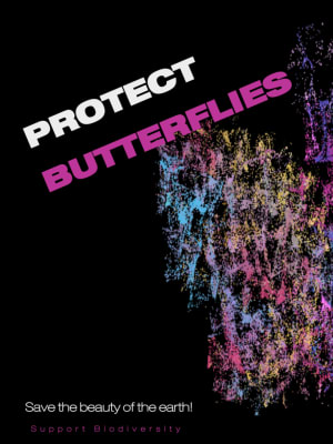 Disappearing Butterfly #ClimateCrisis2024 #MarkVincentGroup8