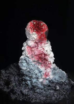 #ClimateCrisis2024 #MarkVincentGroup8 - Red Tide