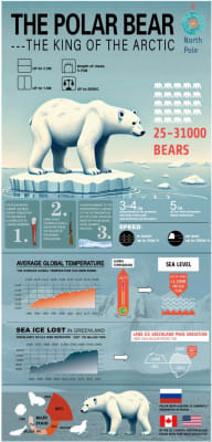 #ClimateCrisis2024#FionaPrice Independent Project 2024