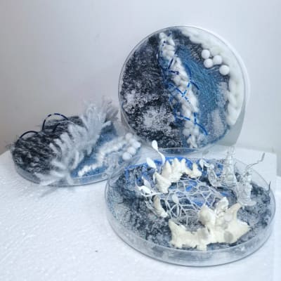 Frozen World: The Final clue #ClimateCrisis2024