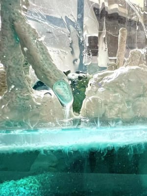 #ClimateCrisis2024 #IanHolmes sea temperature