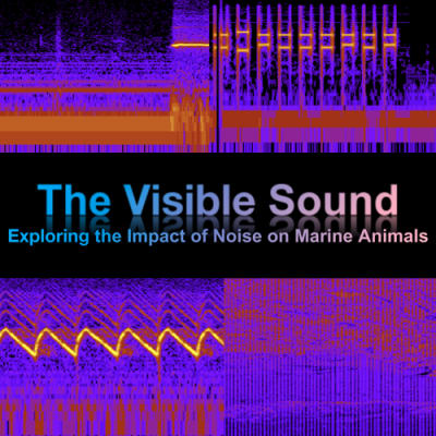 The Visible Sound #ClimateCrisis2024 #Group10