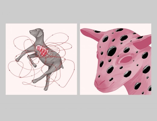 lines and holes #Climatecrisis2024 #group16 Chuyu Wang 2024 #Mateuszgalka