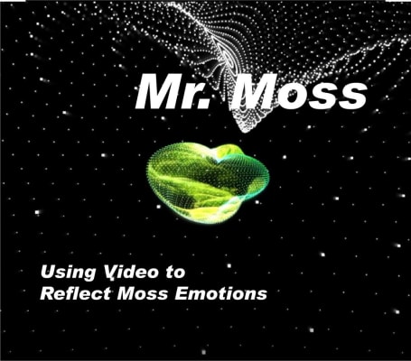 Mr. Moss #MarkVincentGroup8 #ClimateCrisis2024