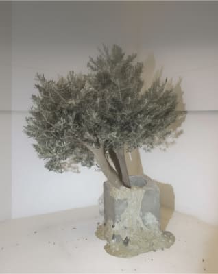 Rising from Ruins #SteveElmesgroup2#ClimateCrisis2024