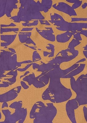Experimental Process