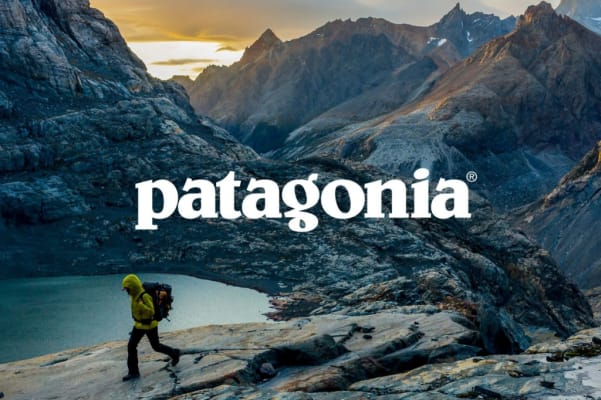 Patagonia in China: Chinese Millennial Consumers' Views on Brand Sustainability