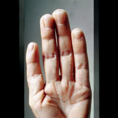 Our Hands & AI