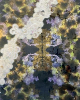 Task 3 imaginary world
