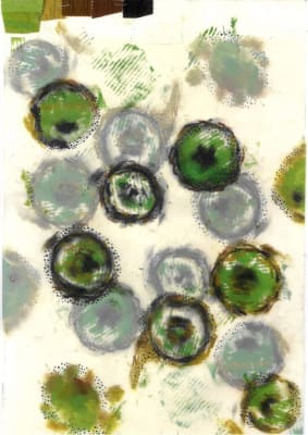 experimental process