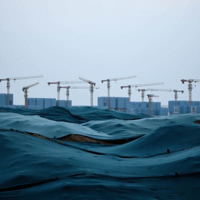 浪 Waves