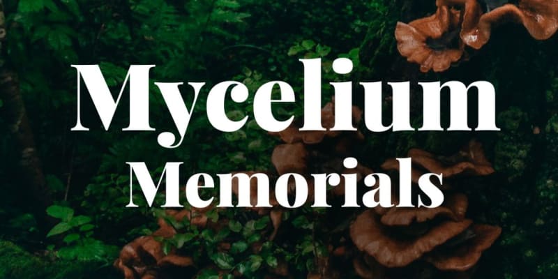 Mycelium Memorials: Dying Regeneratively to Nurture New Life
