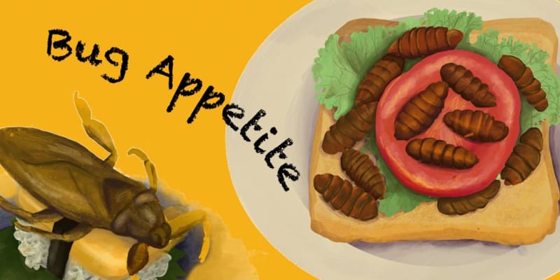 Bug Appetite: Sustainable Diet