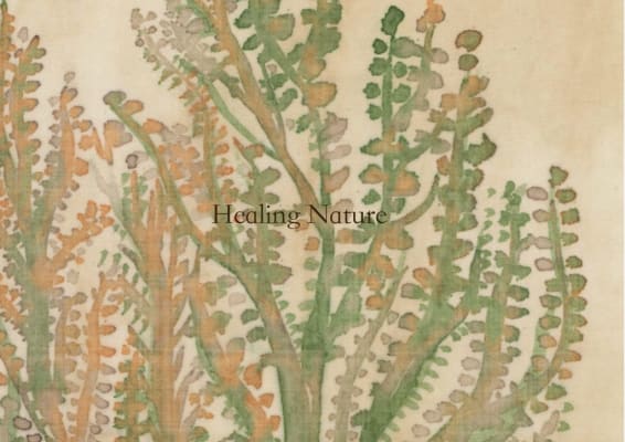 Healing Nature