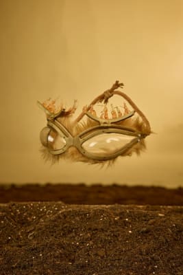 Breath of the Barren