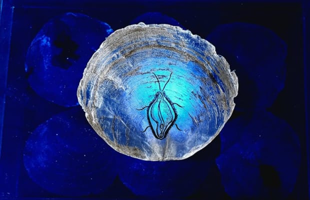 We are Water