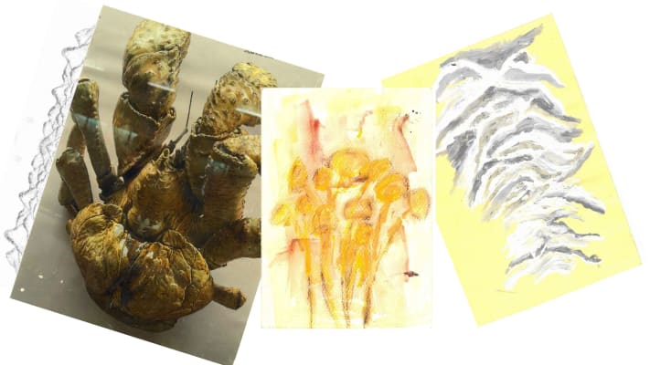 Experimental Process
