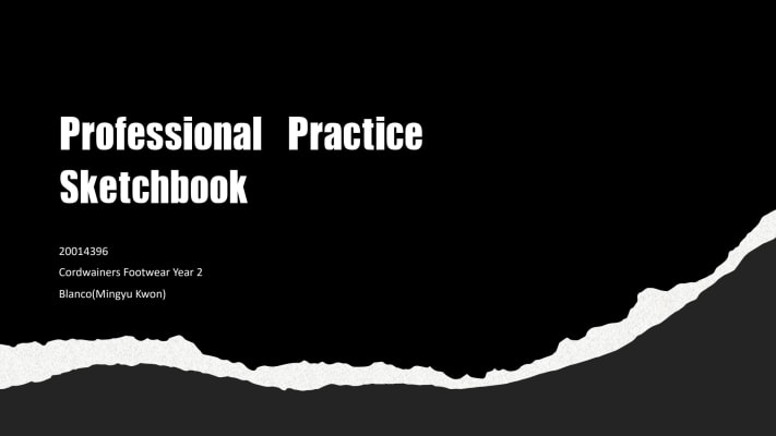 Professional Practice