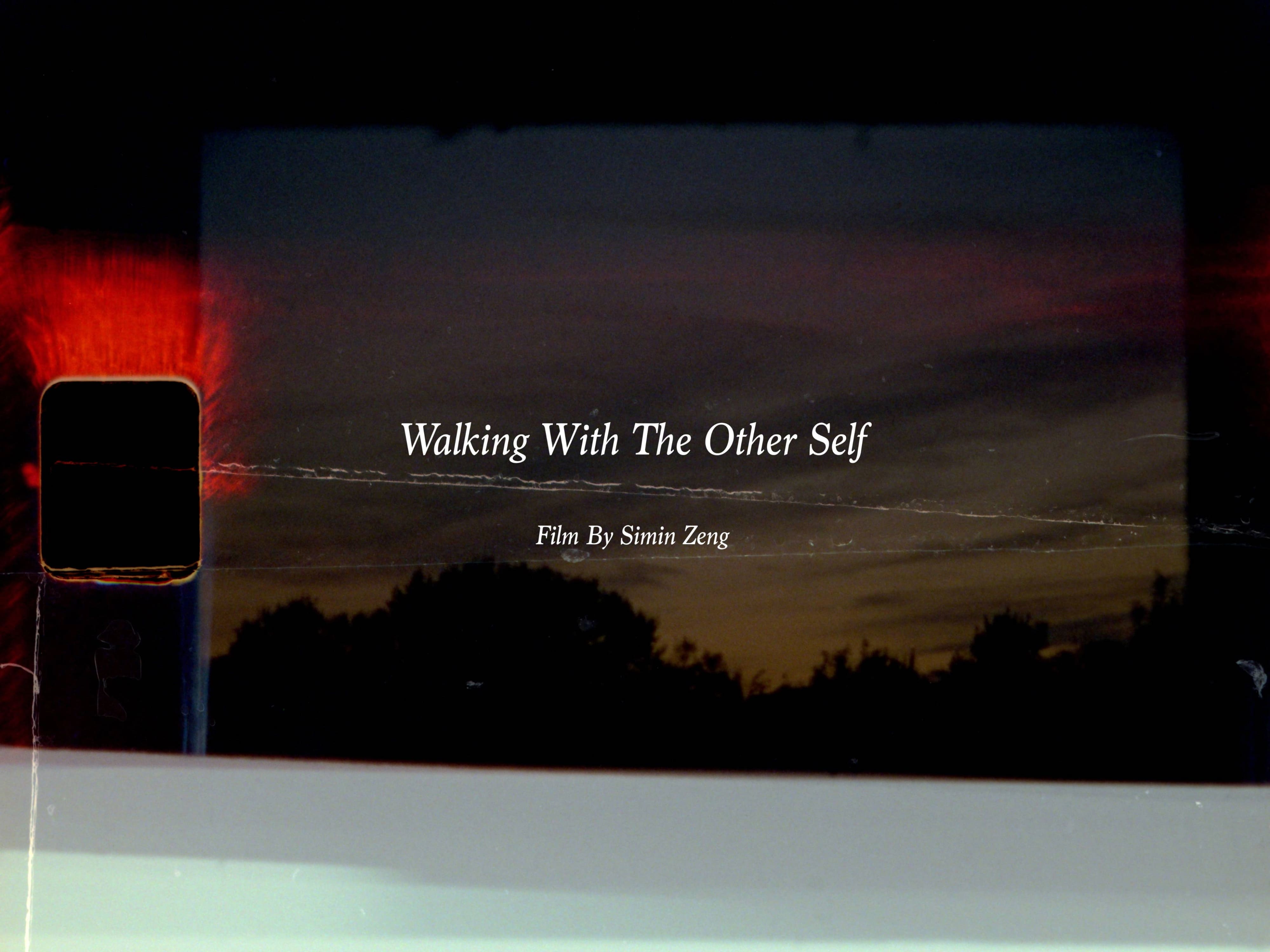 Walking With The Other Self