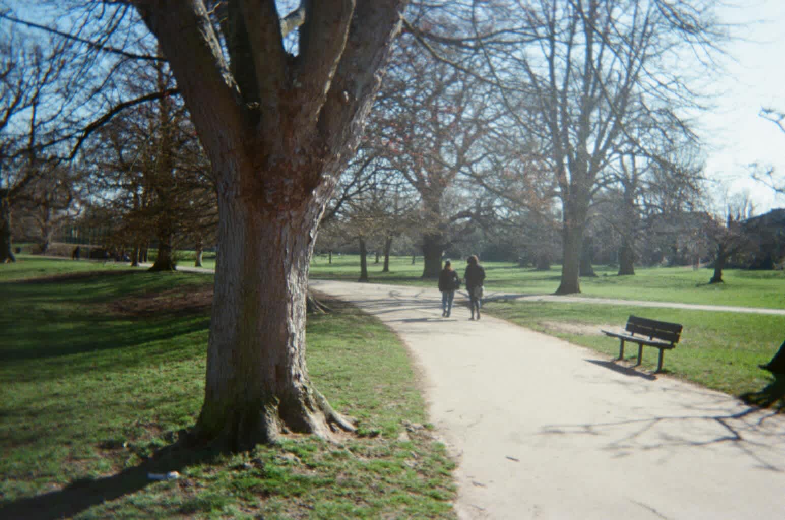 Walk and Talk: Reimagining Productivity