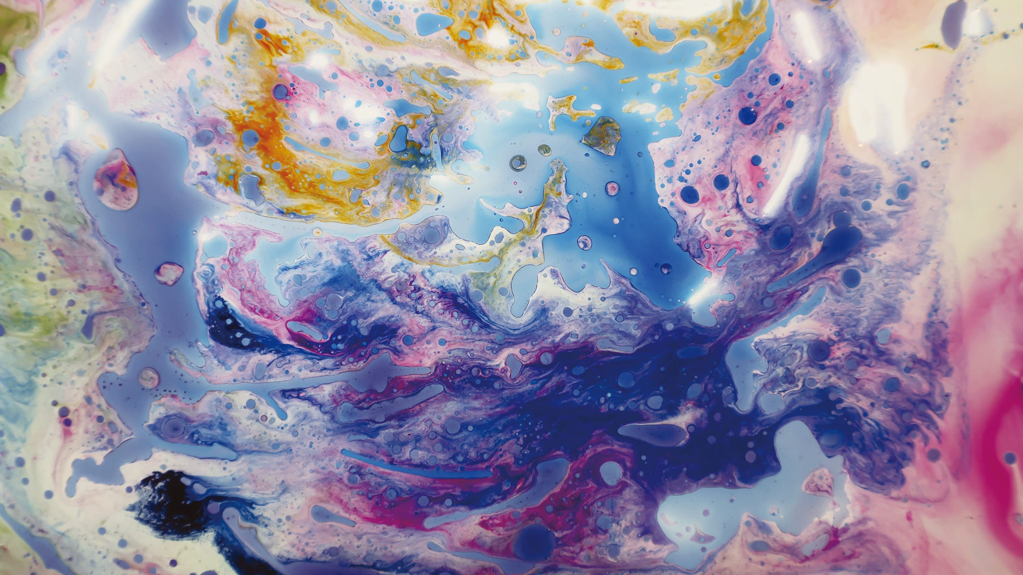 The Pluriversal Palette