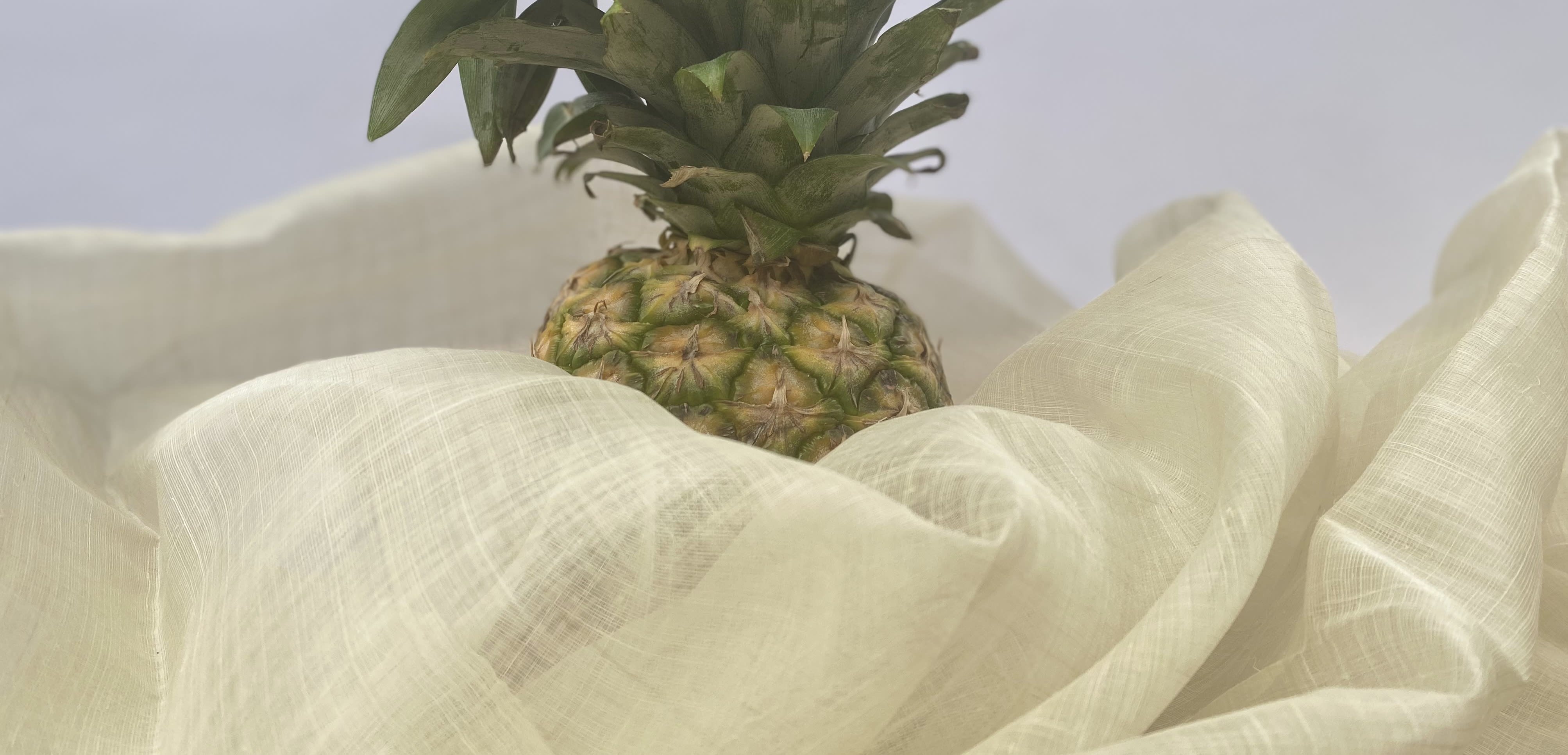 Pineapple woven fabric from waste