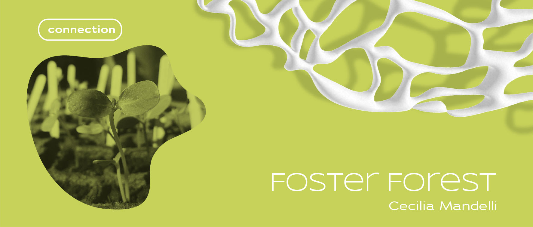 foster forest