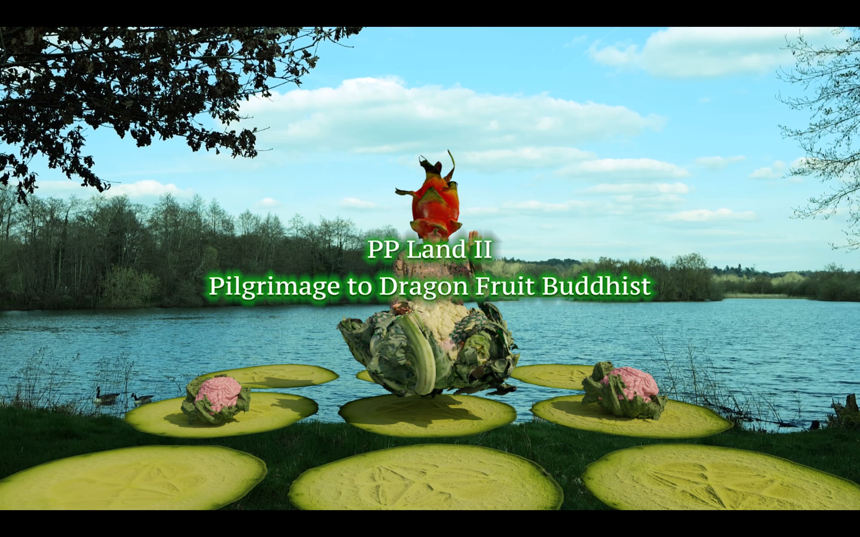 PP Land II-Pilgrimage to the Dragon Fruit Buddhist