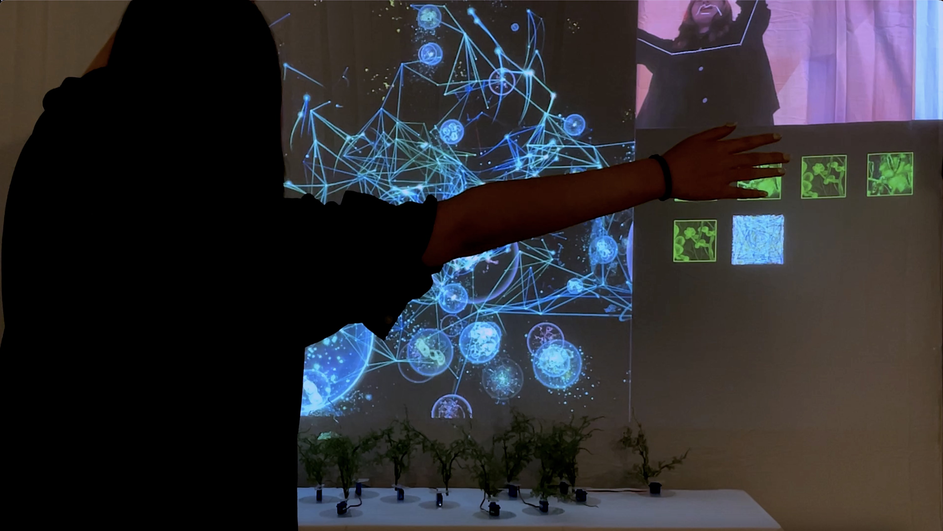 Virtual Fungi Ecosystem