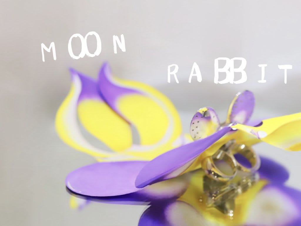 MOON RABBIT