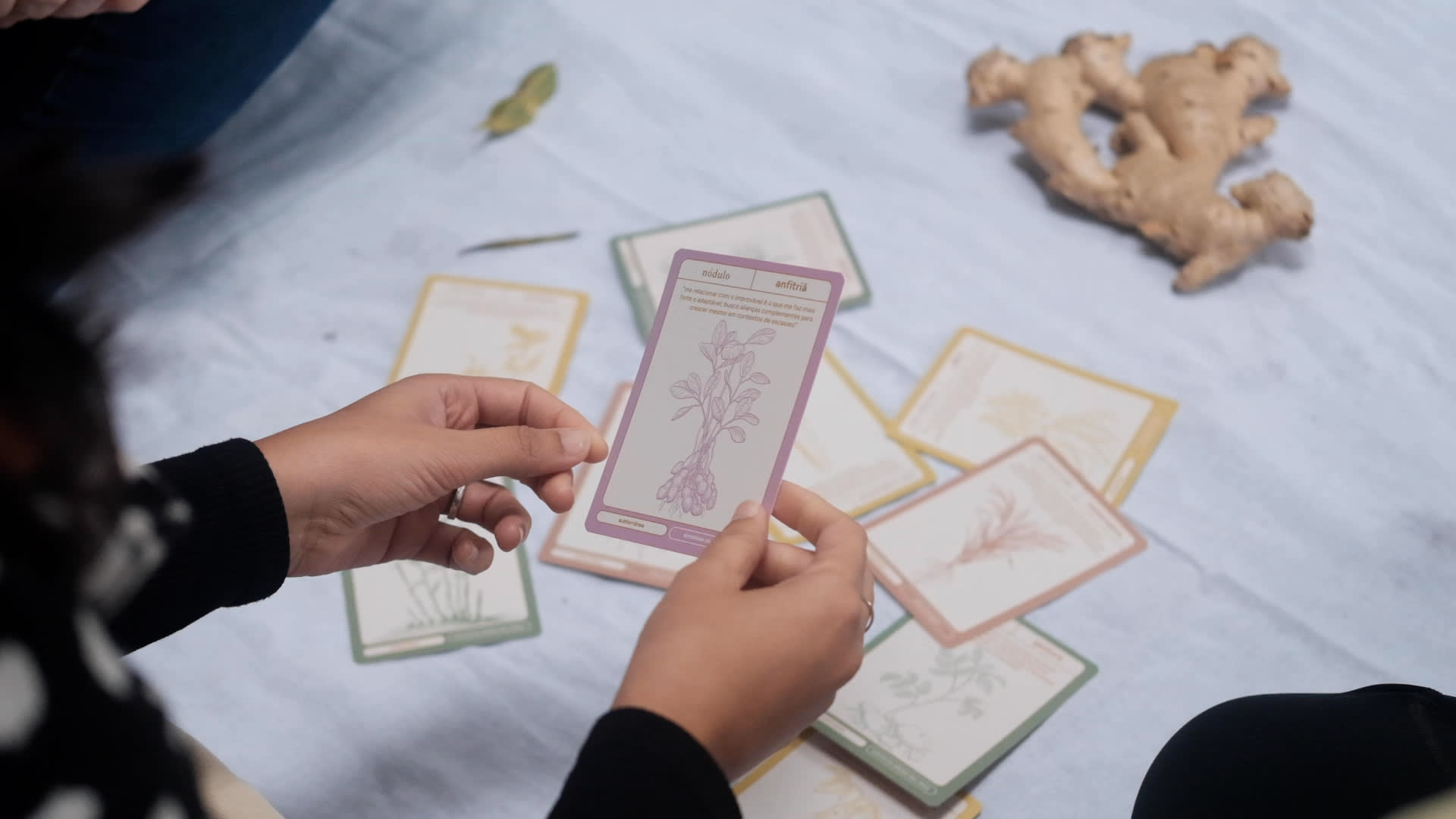 RizaLab, co-creating with roots