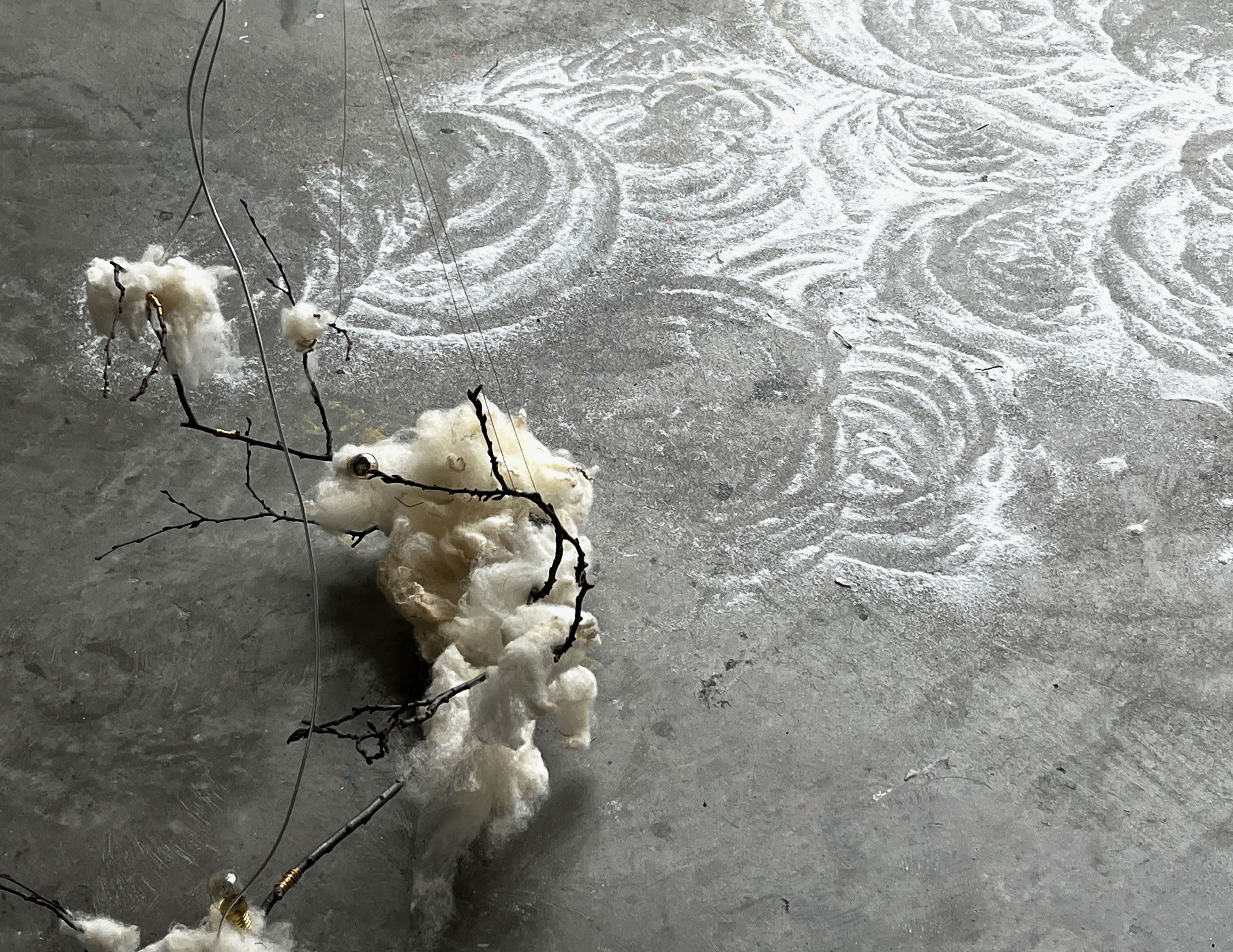 Graduate Showcase: MILE WANG