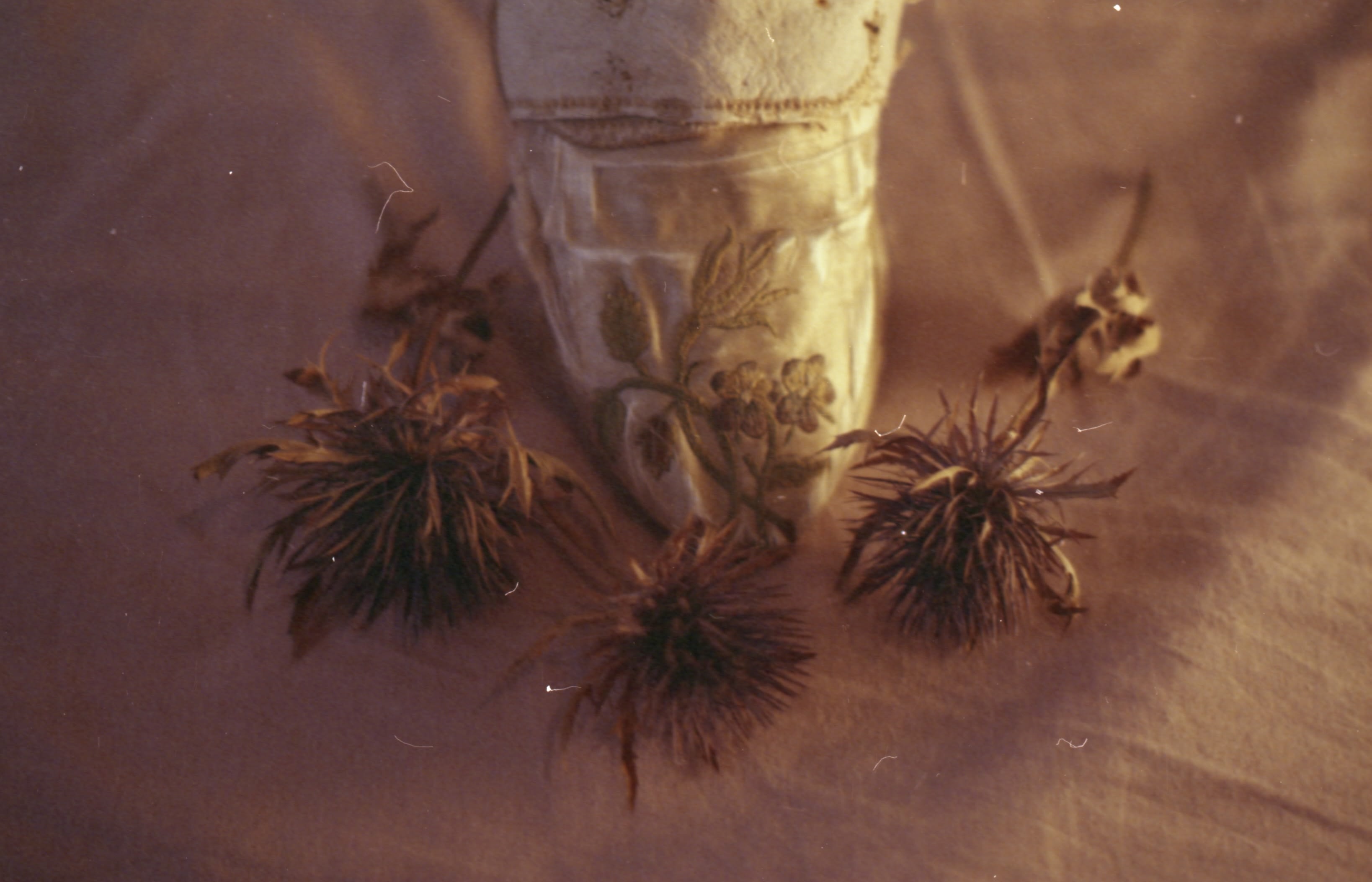 Memory/Loss: Curating Decay in Garment Collections