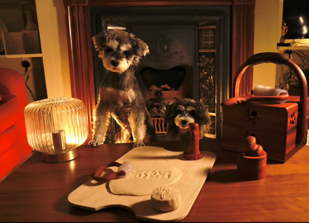 Woof Reunion